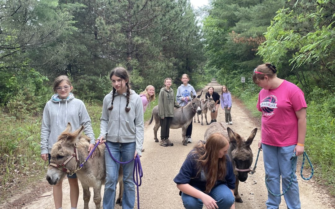 Horse Activities & Groups